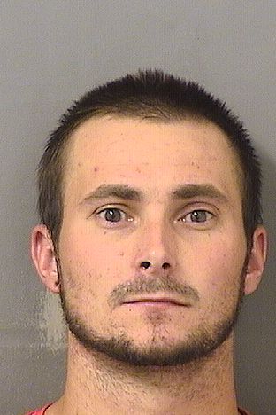  ALBERT CARLYLE IV COPLEY Resultados de la busqueda para Palm Beach County Florida para  ALBERT CARLYLE IV COPLEY