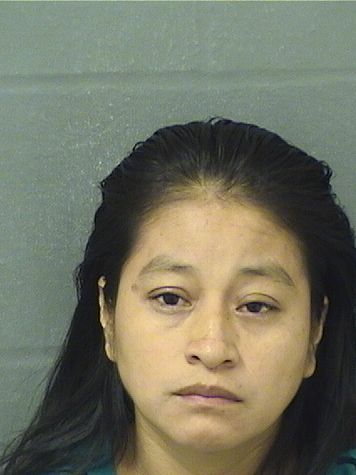  JULIA GARCIAMENDEZ Results from Palm Beach County Florida for  JULIA GARCIAMENDEZ