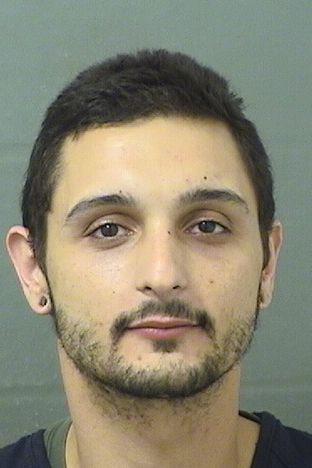  JOSEPH DAVID CICCONE Results from Palm Beach County Florida for  JOSEPH DAVID CICCONE