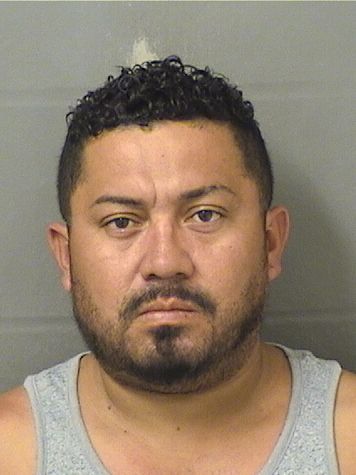  ELIAS JOSUE UMANA Results from Palm Beach County Florida for  ELIAS JOSUE UMANA