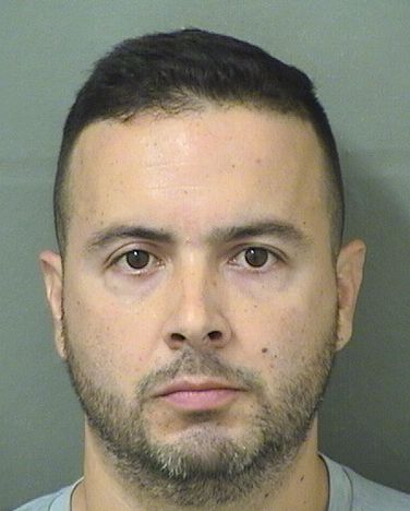  LOUIS FERNANDO GOMEZ Results from Palm Beach County Florida for  LOUIS FERNANDO GOMEZ