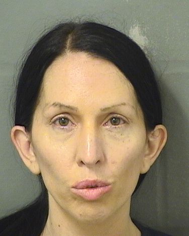  TRACEY MICHELE WERTMAN Results from Palm Beach County Florida for  TRACEY MICHELE WERTMAN