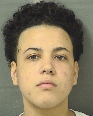  RAECHEL ROSA GUERRA Results from Palm Beach County Florida for  RAECHEL ROSA GUERRA