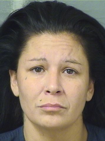  HEATHER ANGEL NELSON Results from Palm Beach County Florida for  HEATHER ANGEL NELSON