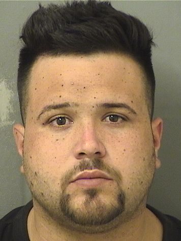  ENRIQUE FIDEL SABLONROSS Results from Palm Beach County Florida for  ENRIQUE FIDEL SABLONROSS