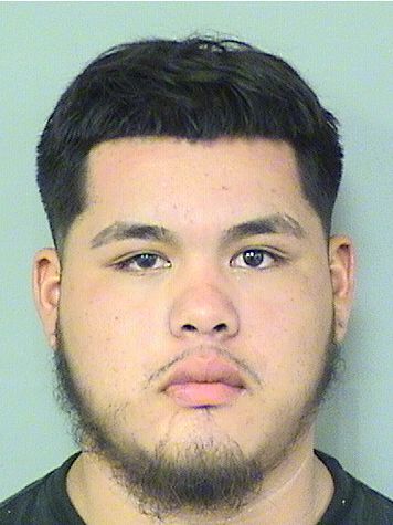  AMERICO  Jr DE LA CRUZ Results from Palm Beach County Florida for  AMERICO  Jr DE LA CRUZ