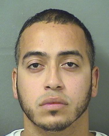  GREGORY STEVEN MORALES Results from Palm Beach County Florida for  GREGORY STEVEN MORALES