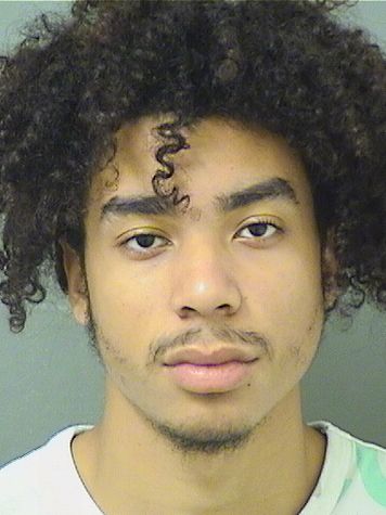  DOMINICK A ROLON Photo For  DOMINICK A ROLON