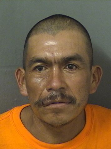  LEONARDO CHILEVICENTE Photo For  LEONARDO CHILEVICENTE