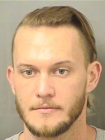  MICHAEL COLTER DARLSON Results from Palm Beach County Florida for  MICHAEL COLTER DARLSON