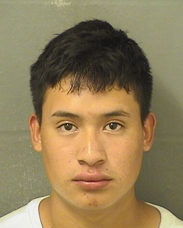  ERIK LOPEZDIEGO Results from Palm Beach County Florida for  ERIK LOPEZDIEGO