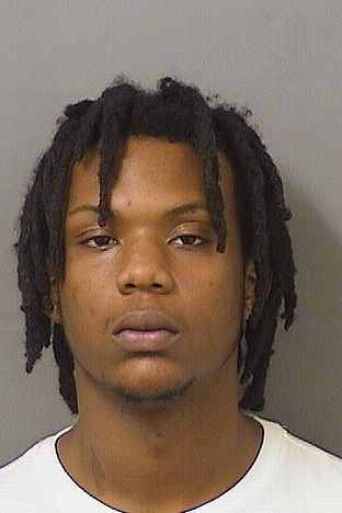  TIENORRIS BROWN Photo