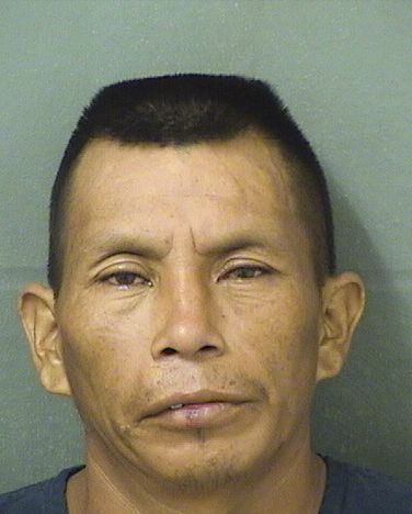  BALTAZAR PASCUALPEDRO Photo For  BALTAZAR PASCUALPEDRO