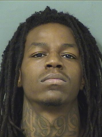  ENRICO  Jr NELSON Results from Palm Beach County Florida for  ENRICO  Jr NELSON