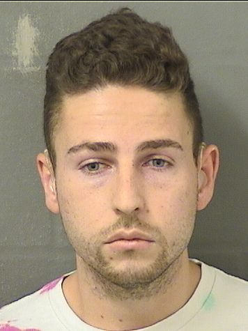  BRIAN K BUDD Results from Palm Beach County Florida for  BRIAN K BUDD