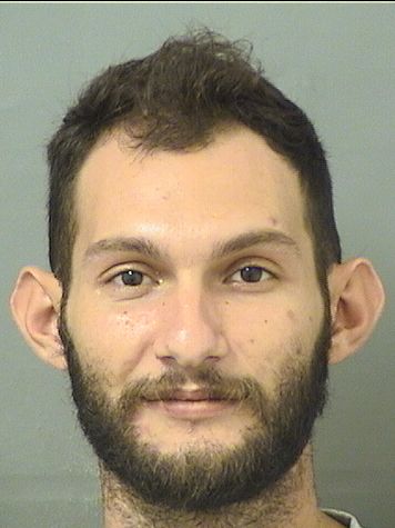  DINO HOTI Results from Palm Beach County Florida for  DINO HOTI