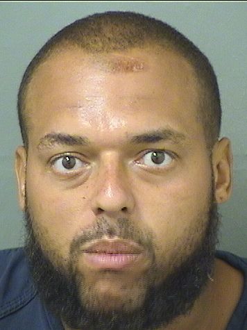  DAVID NUNES XAVIER Results from Palm Beach County Florida for  DAVID NUNES XAVIER