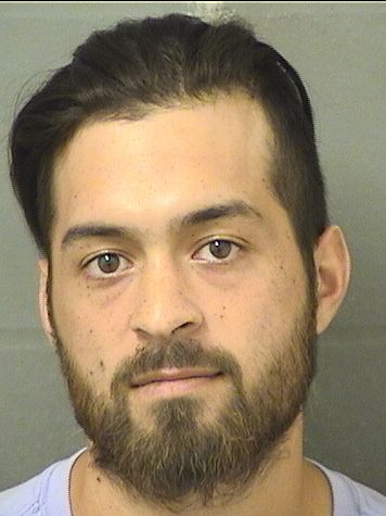  NICHOLAS JARRETT LEPPER Results from Palm Beach County Florida for  NICHOLAS JARRETT LEPPER