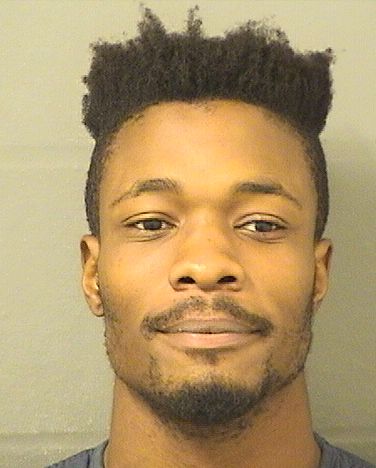  GREG GENEL HENRY Results from Palm Beach County Florida for  GREG GENEL HENRY