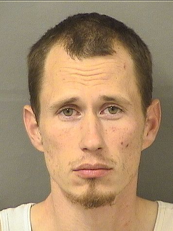  DANIEL JAMES NARDOZZI Photo For  DANIEL JAMES NARDOZZI