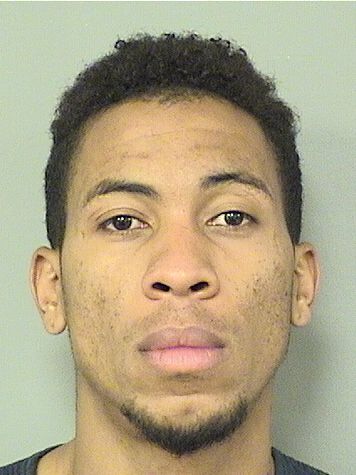  ADESON YORDAN ORTEGARODRIGUEZ Results from Palm Beach County Florida for  ADESON YORDAN ORTEGARODRIGUEZ