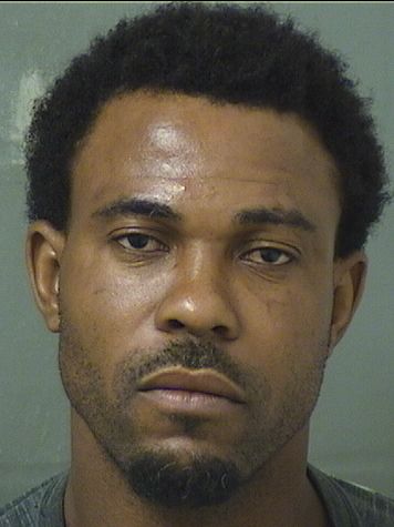  VLADIMYR ALTENOR Results from Palm Beach County Florida for  VLADIMYR ALTENOR