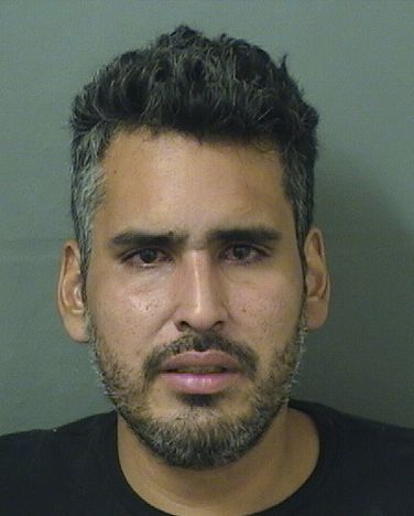  STEVENS INSUASTI Results from Palm Beach County Florida for  STEVENS INSUASTI