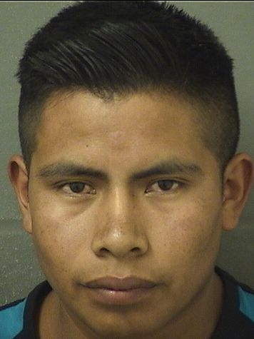 ARNOLFO DOMINGO JUANPEDRO Photos For  ARNOLFO DOMINGO JUANPEDRO  ARNOLFO DOMINGO JUANPEDRO Photo For  ARNOLFO DOMINGO JUANPEDRO