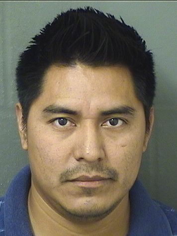  ADOLFO VELASQUEZ Resultados de la busqueda para Palm Beach County Florida para  ADOLFO VELASQUEZ