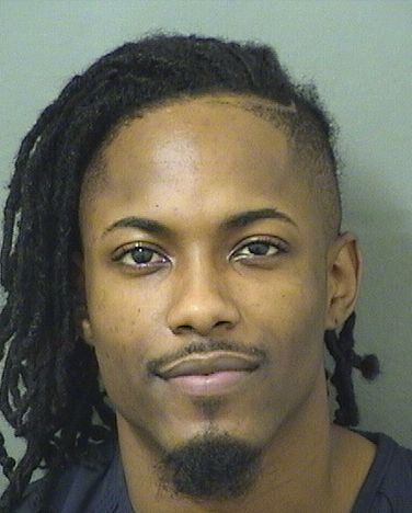  NICHOLAS TROY PALMER Results from Palm Beach County Florida for  NICHOLAS TROY PALMER