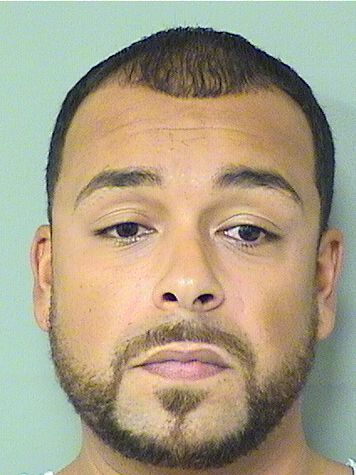  ADRIAN L APONTE Results from Palm Beach County Florida for  ADRIAN L APONTE