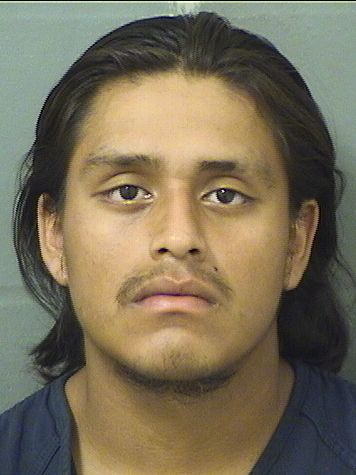  EDVIN NEHEMIAS GASPAR Results from Palm Beach County Florida for  EDVIN NEHEMIAS GASPAR