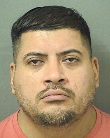  CARLOS ALBERTO JR PEREZCANALES Resultados de la busqueda para Palm Beach County Florida para  CARLOS ALBERTO JR PEREZCANALES