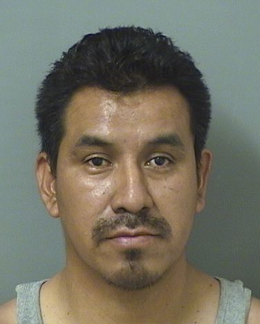  JAIME CHAVEZVELASQUEZ Resultados de la busqueda para Palm Beach County Florida para  JAIME CHAVEZVELASQUEZ