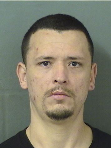  MICHAEL ROBERTAMOROS Results from Palm Beach County Florida for  MICHAEL ROBERTAMOROS