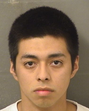  GUSTAVO MENDOZA Results from Palm Beach County Florida for  GUSTAVO MENDOZA