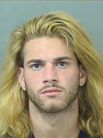  JAMES DANIEL METSCHERPEREZ Results from Palm Beach County Florida for  JAMES DANIEL METSCHERPEREZ