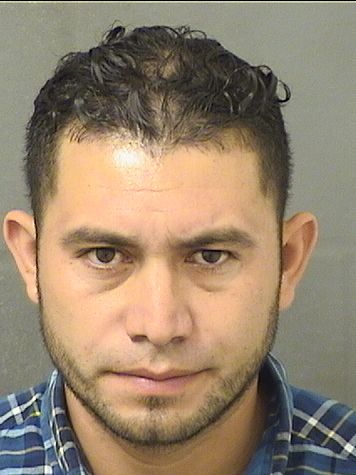  LUIS ALONSO MORALESUMANA Resultados de la busqueda para Palm Beach County Florida para  LUIS ALONSO MORALESUMANA