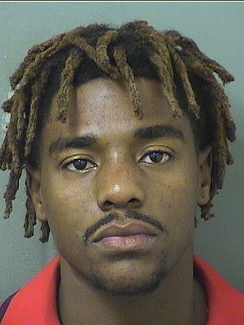  ROBINSON MICHEL Resultados de la busqueda para Palm Beach County Florida para  ROBINSON MICHEL