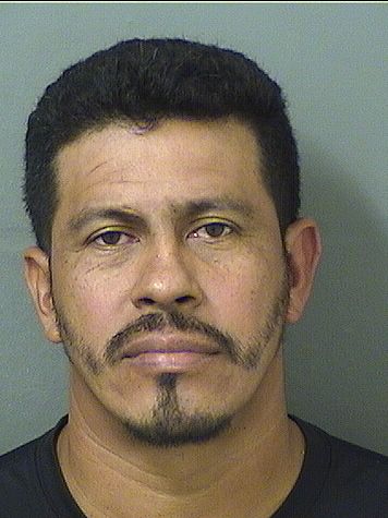  DOMINGO CRUZLOPEZ Results from Palm Beach County Florida for  DOMINGO CRUZLOPEZ