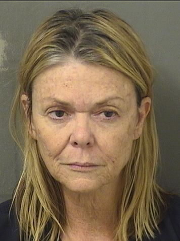  MELISSA ANN MCALEVEY Results from Palm Beach County Florida for  MELISSA ANN MCALEVEY