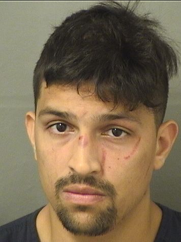  IVAN SANTIAGO BARROS Results from Palm Beach County Florida for  IVAN SANTIAGO BARROS