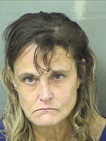  SARA ELAINE SOTTILE Results from Palm Beach County Florida for  SARA ELAINE SOTTILE