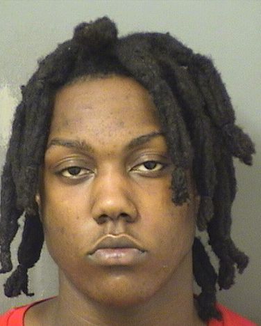  LARRY ONEAL WILLIS Results from Palm Beach County Florida for  LARRY ONEAL WILLIS