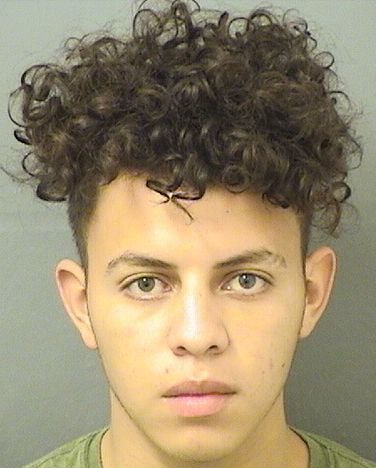  JESURY L BRIONES Results from Palm Beach County Florida for  JESURY L BRIONES