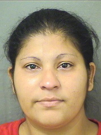  MARIA ELENA LOPEZRAMOS Results from Palm Beach County Florida for  MARIA ELENA LOPEZRAMOS