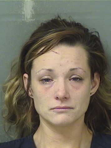 AMBER DAWN ESTEP Results from Palm Beach County Florida for AMBER DAWN ESTEP AMBER DAWN ESTEP Results from Palm Beach County Florida for AMBER DAWN ESTEP