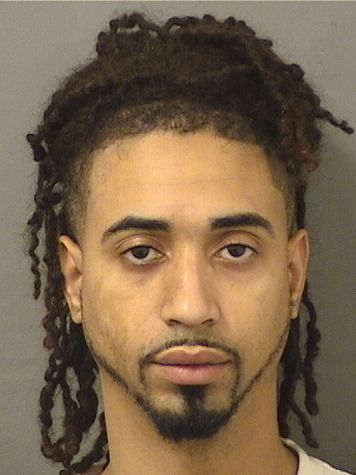  LUIS A FIGUEROA Results from Palm Beach County Florida for  LUIS A FIGUEROA