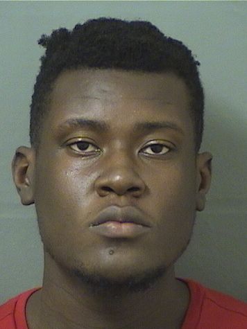  BRIAN BUREAU Results from Palm Beach County Florida for  BRIAN BUREAU