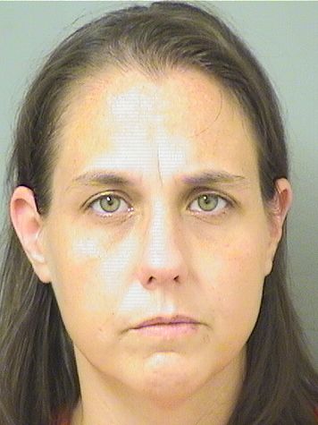  MICHELE DIANN JOHNSON Results from Palm Beach County Florida for  MICHELE DIANN JOHNSON
